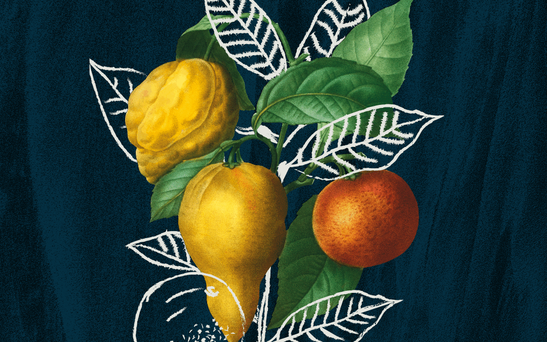 Acqua del Roero ai Giardini Reali a Torino